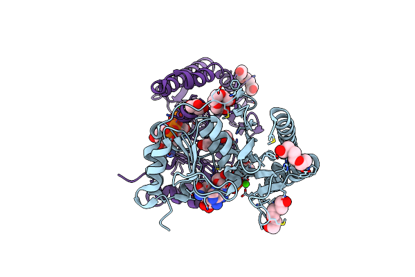 5EYG image