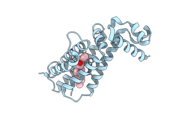 5F08 image