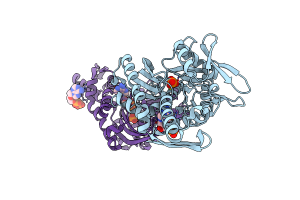 5F0X image