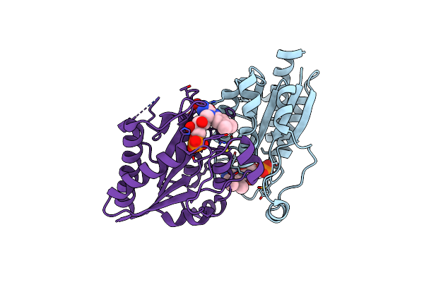 5F12 image