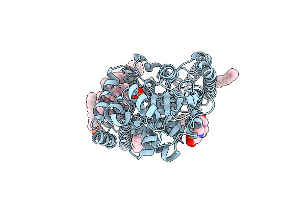 5F15 image