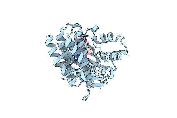 5F1Z image