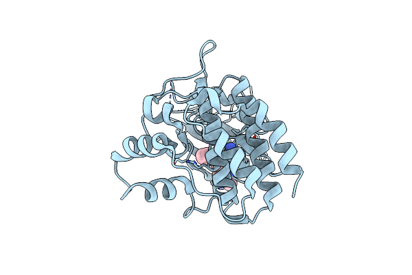 5F20 image