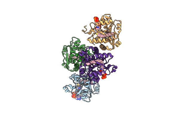 5F34 image