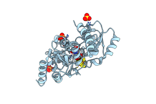 5F3D image