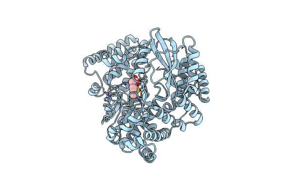 5F3Z image