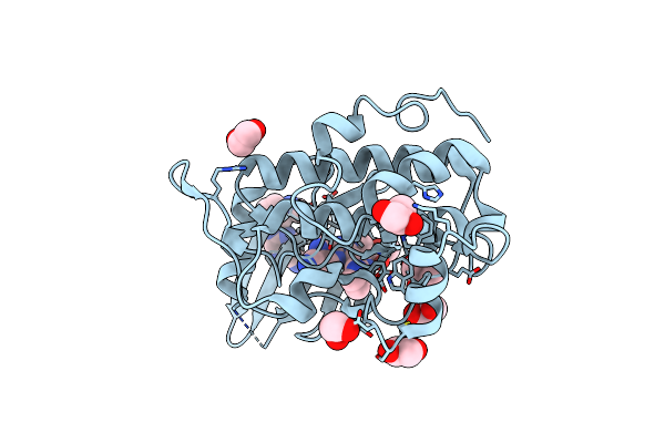 5F4N image