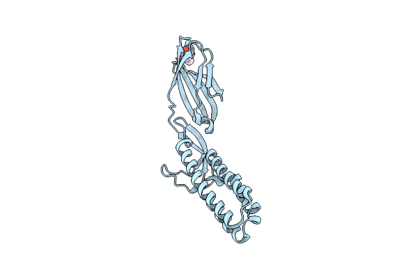 5F4V image