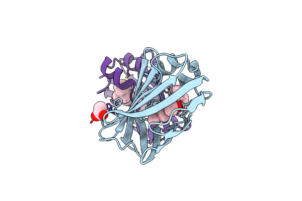 5F58 image