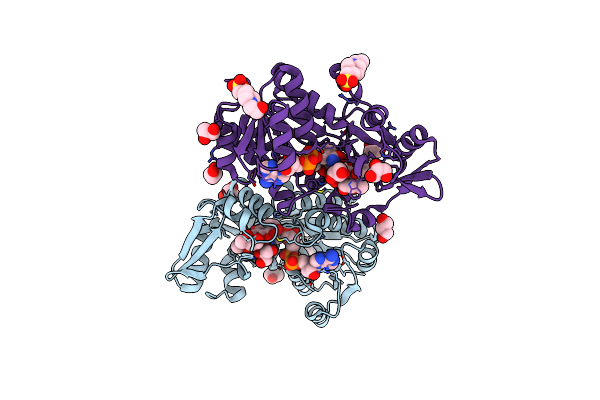 5F5N image