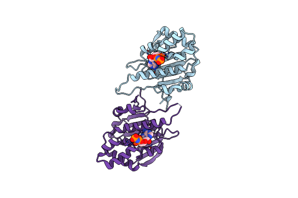 5F5R image