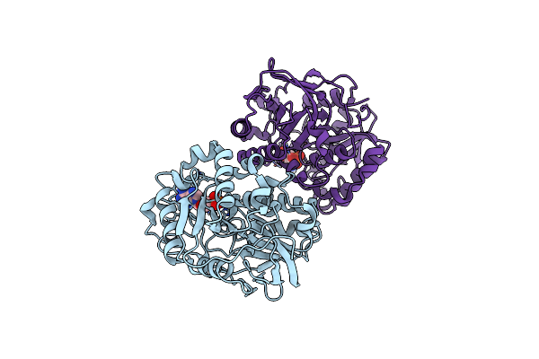 5F5X image