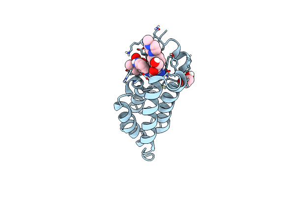 5F5Z image