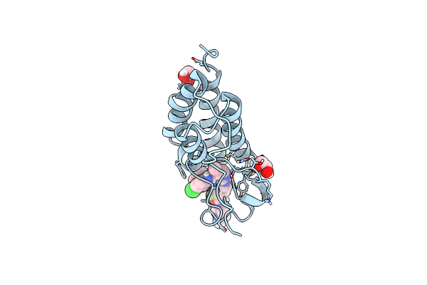 5F63 image