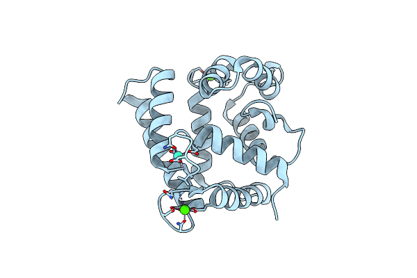 5F6T image