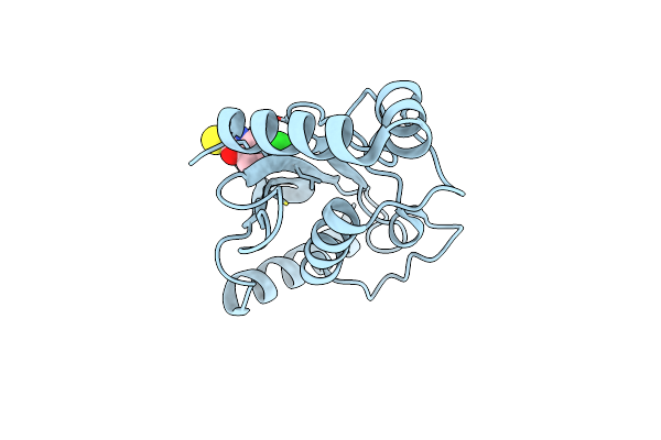 5F6X image