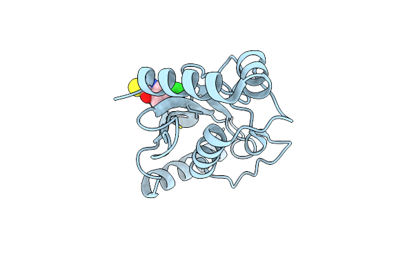 5F6Y image