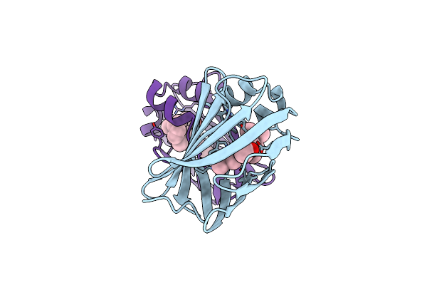 5F7G image