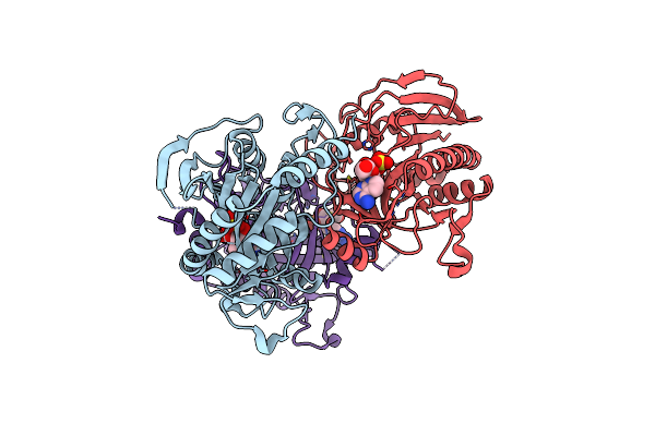5F7X image