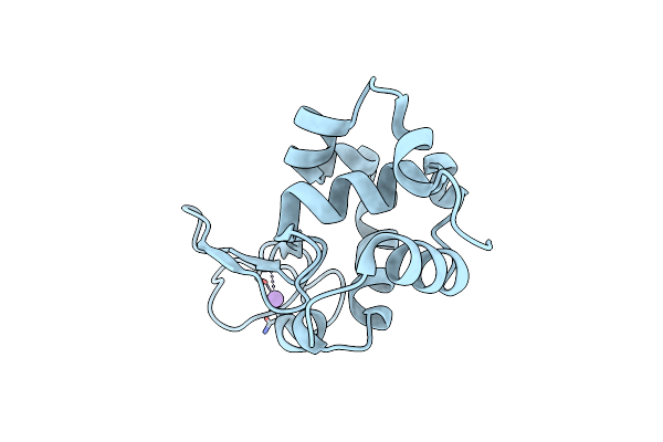 5F81 image