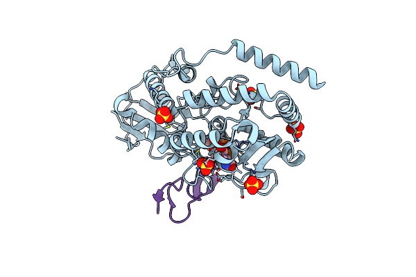 5F84 image