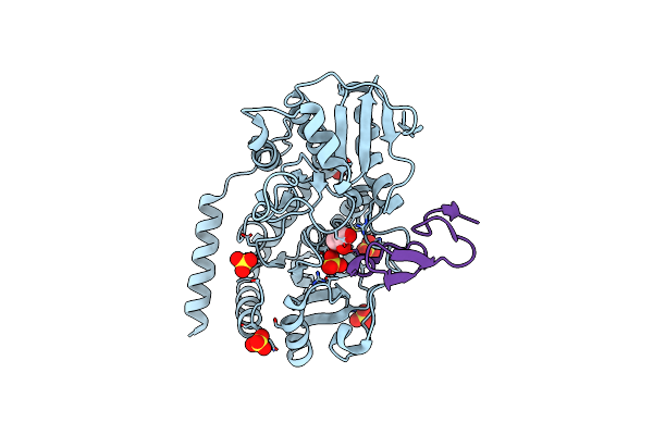 5F86 image