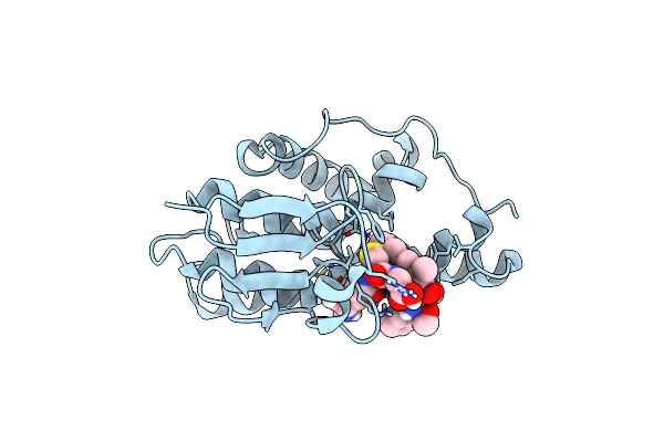 5F8B image