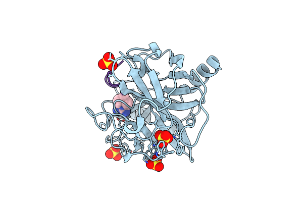 5F8T image