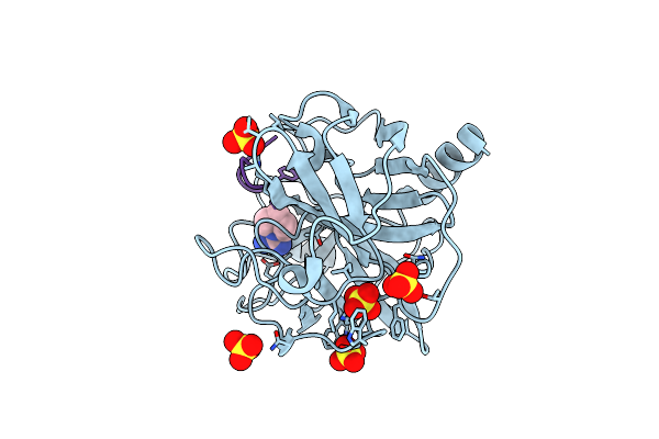 5F8Z image