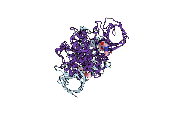 5F94 image