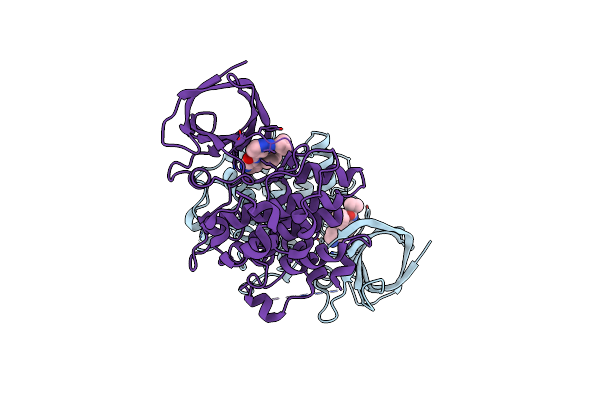 5F95 image