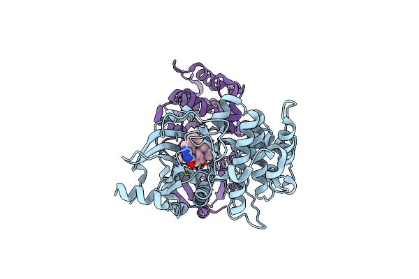 5F9E image