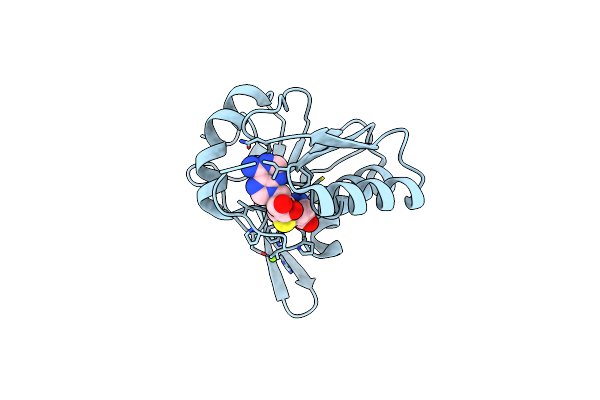 5FAD image