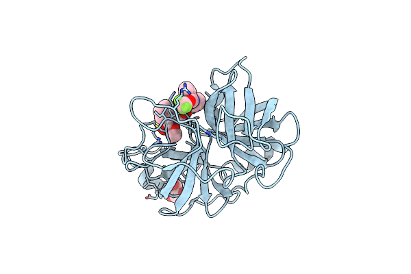 5FBE image
