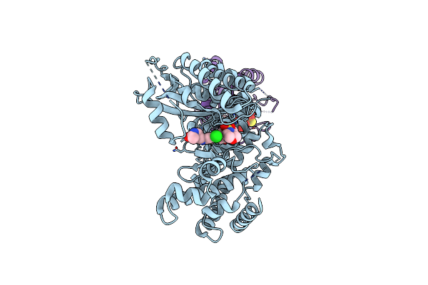 5FBL image