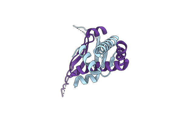 5FBM image
