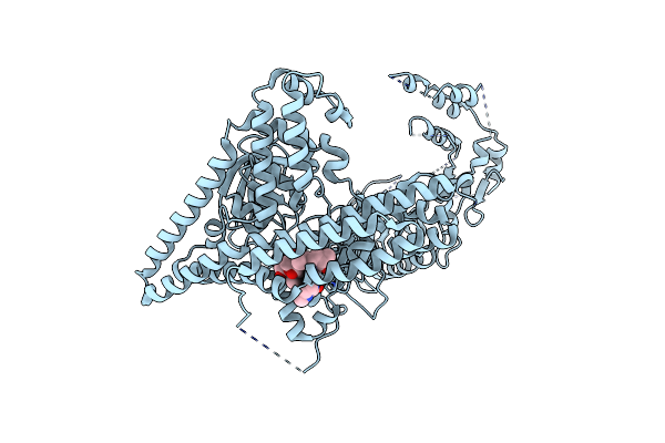 5FBT image