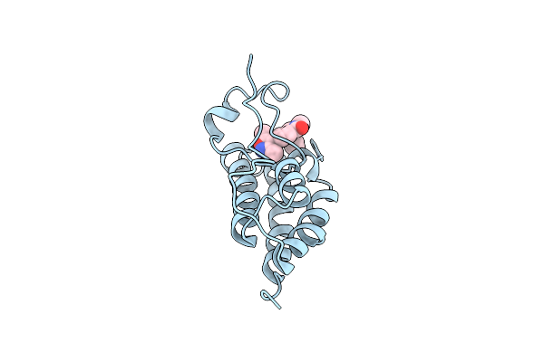 5FBX image