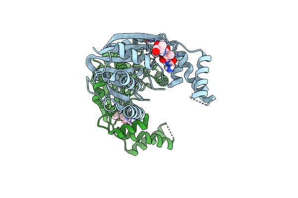 5FCD image