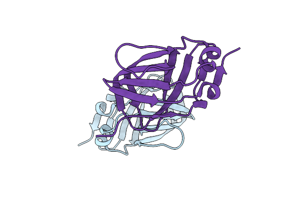 5FCE image