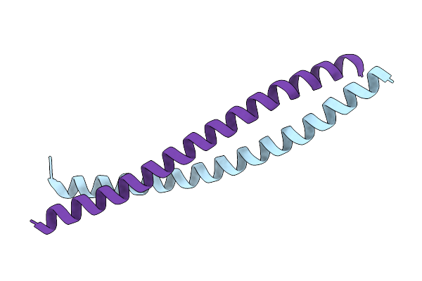 5FCN image