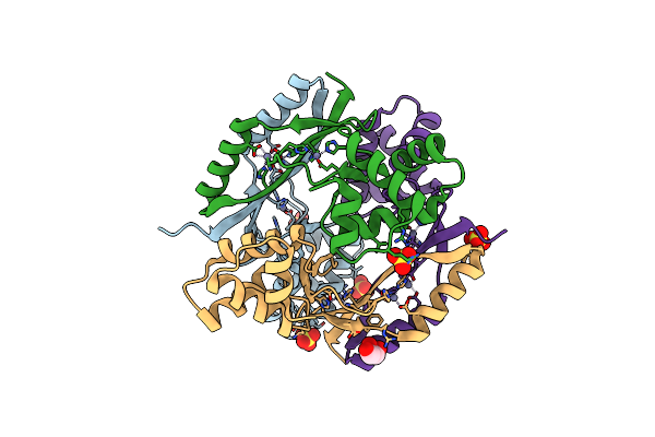 5FD6 image