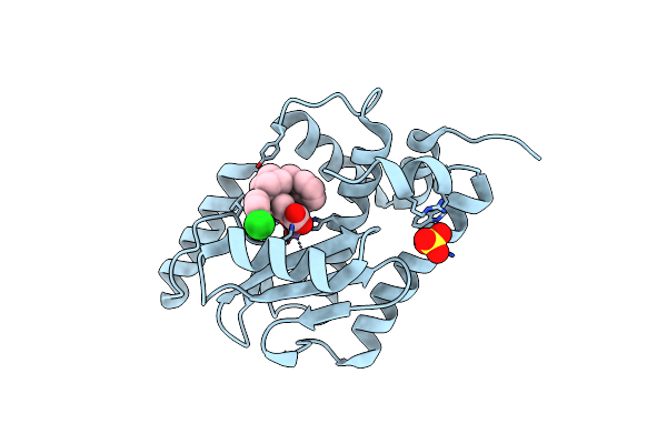 5FDG image