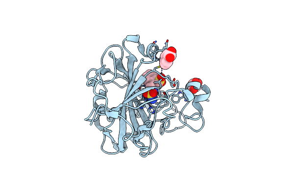 5FDI image