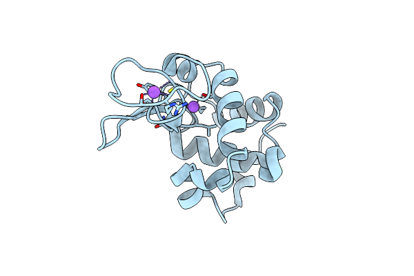 5FDJ image