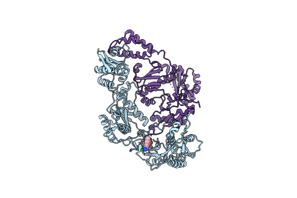 5FDL image
