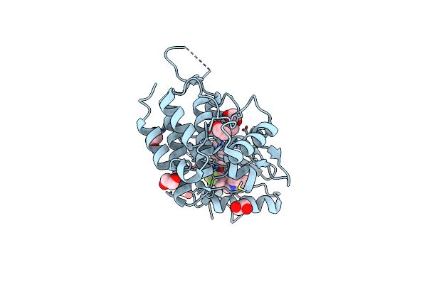 5FDP image