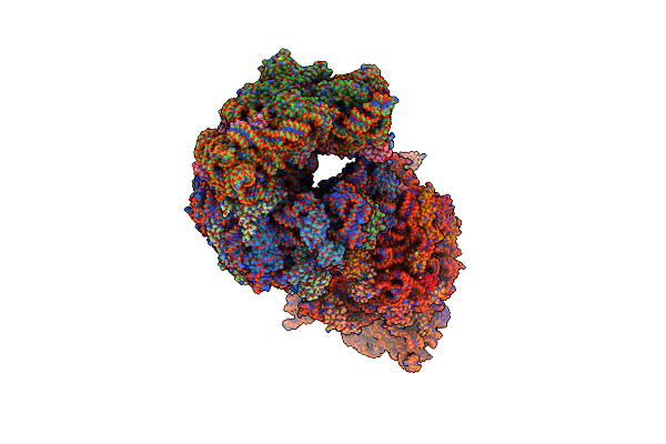 5FDV image