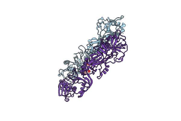 5FEI image