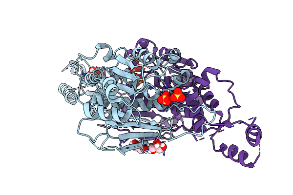 5FF5 image